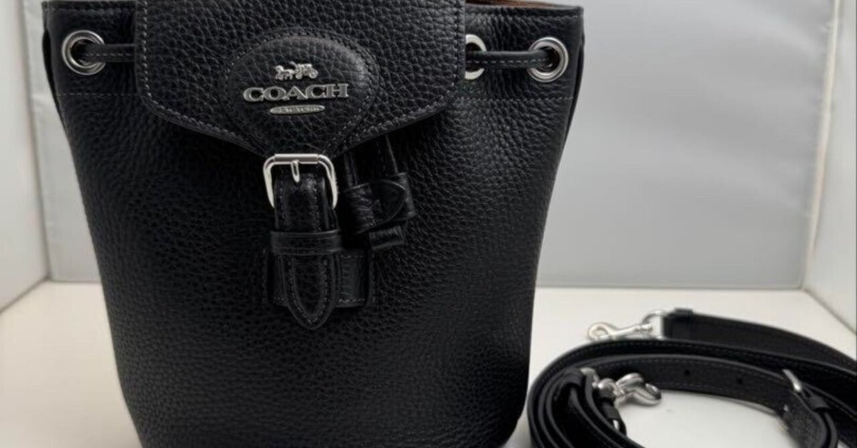 本日見つけた意外なレアモン!】COACH(コーチ)黒ミニレザー
