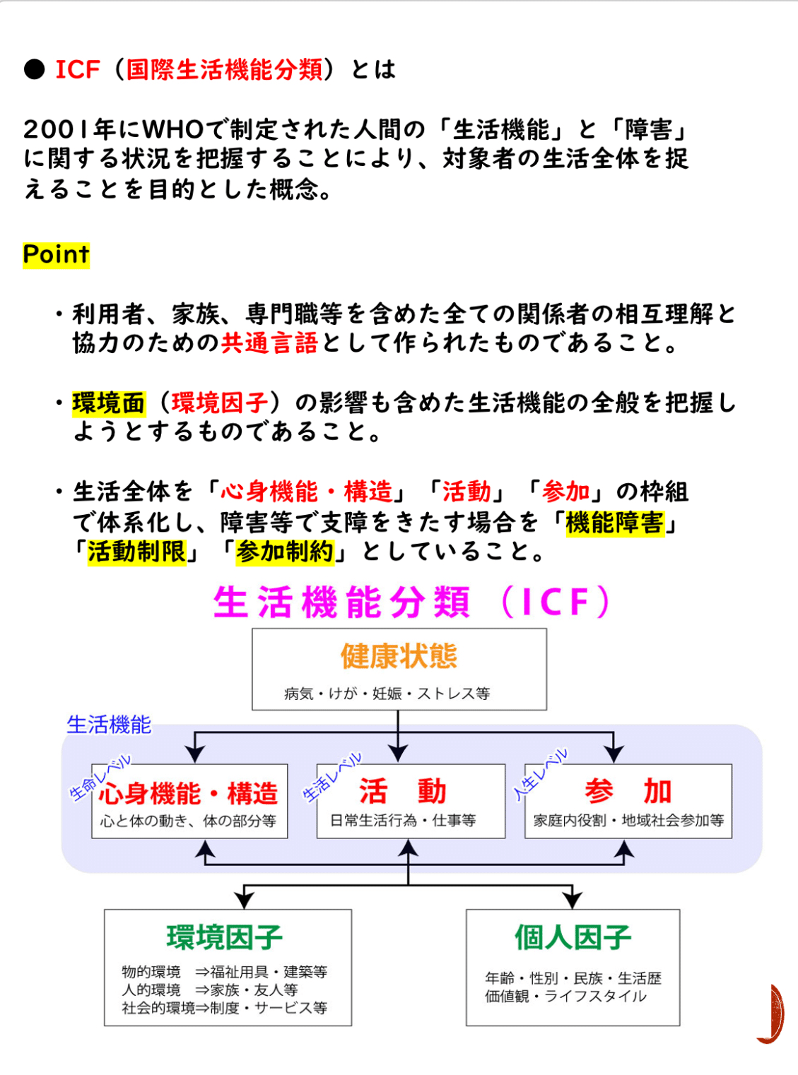 スキャモンの発達曲線について｜momo｜福祉系資格取得の伴走者