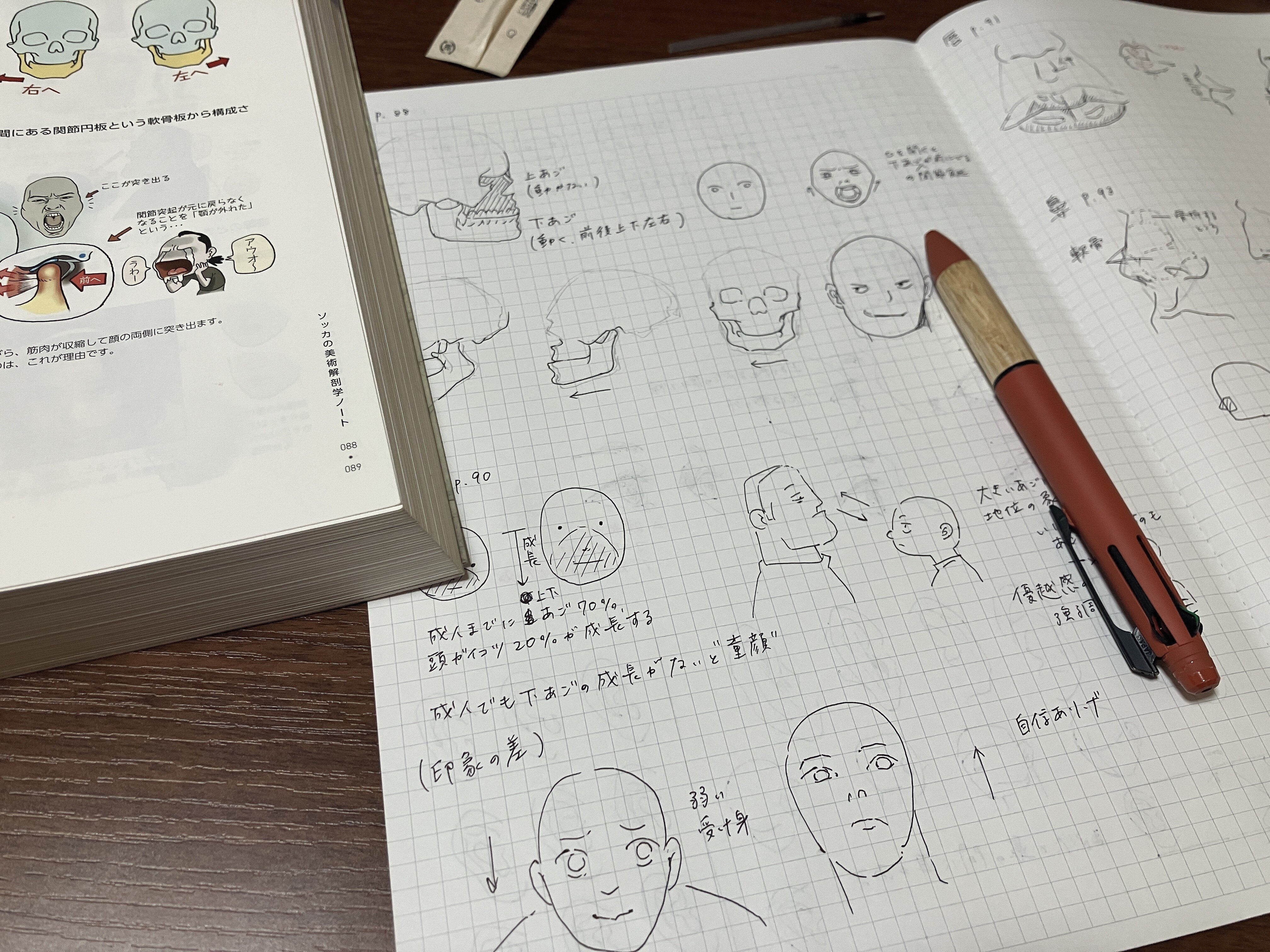 ソッカの美術解剖学ノート ソッカの美術解剖学ノート』感想そしてColoso（コロソ）講座を買って