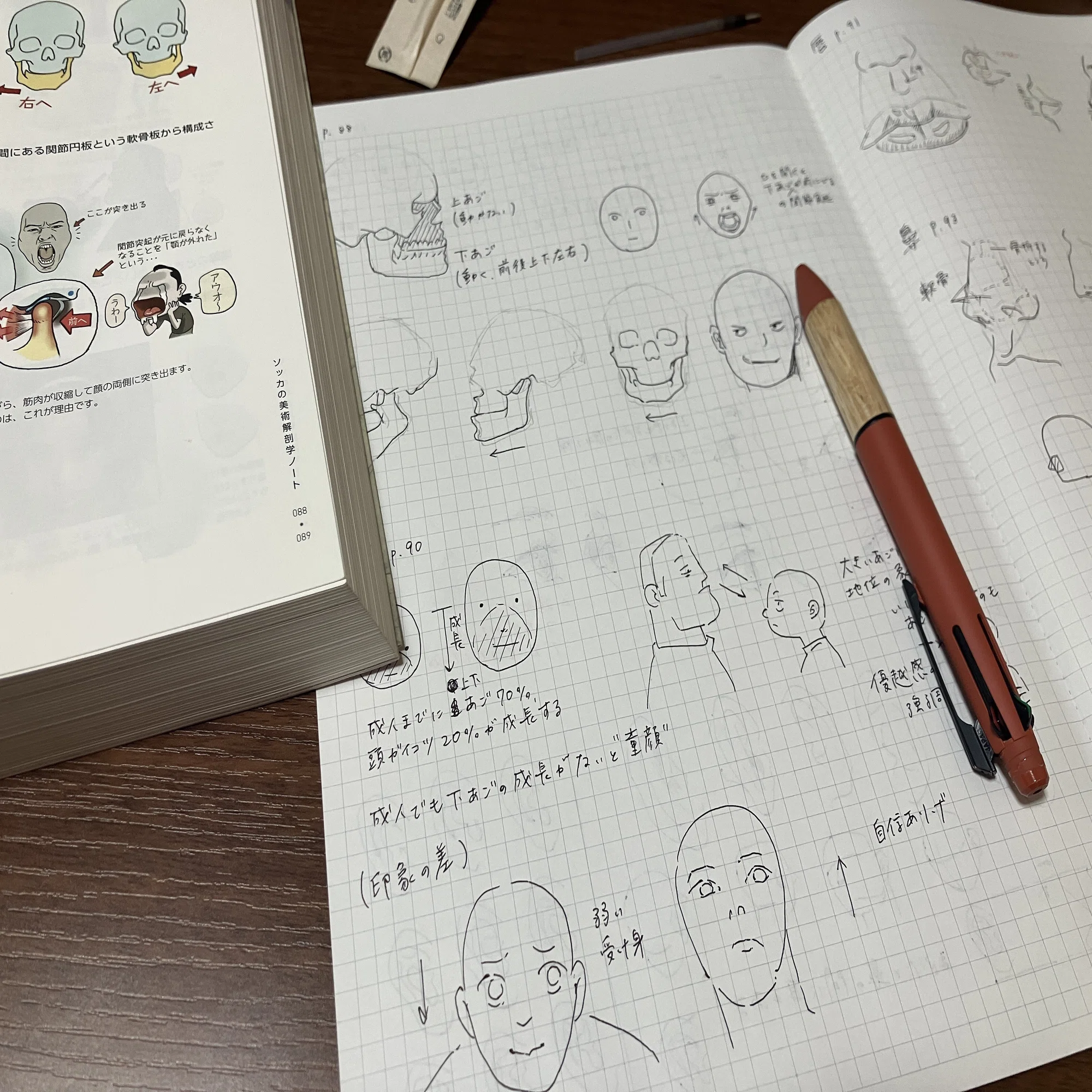 本 お絵かき関係書籍(13冊)/ソッカの美術解剖学ノート/イラスト最速