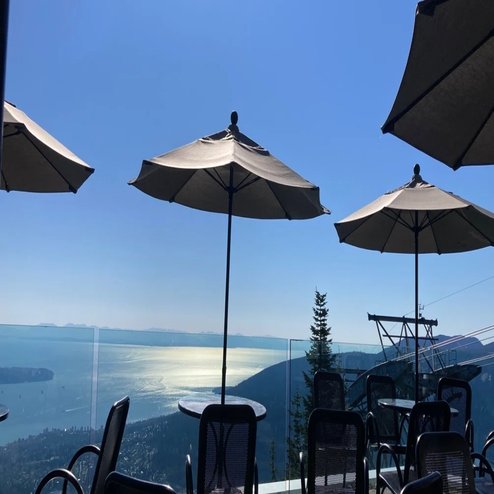 絶景×野生動物×スリル】Grouse Mountain（グラウスマウンテン）に行っ 