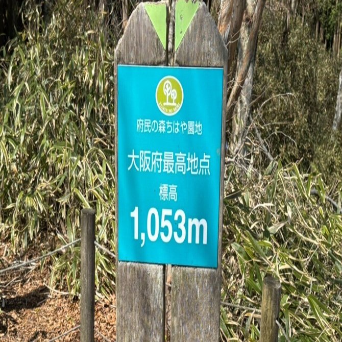 8月23日