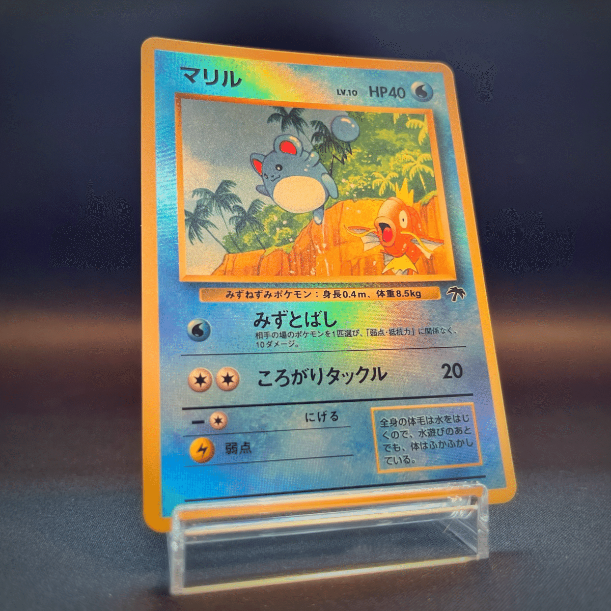 よくインターネットで見かける旧裏ポケカコレクションの用語の