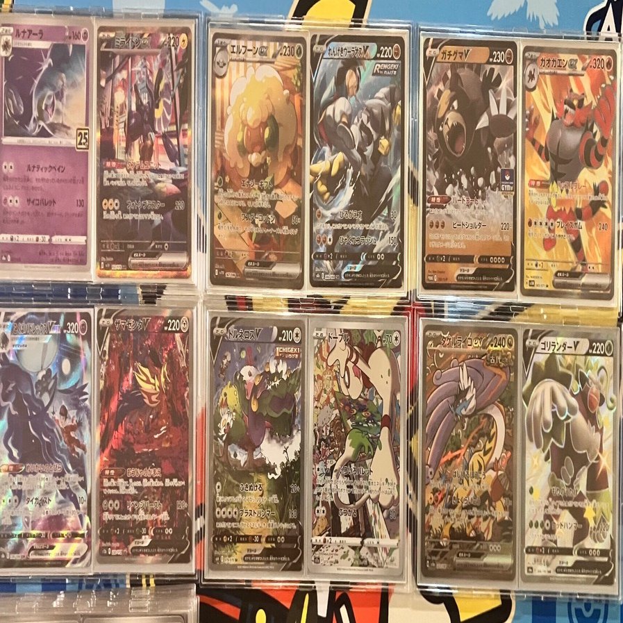 2025年シーズン構築振り返り｜メジアン