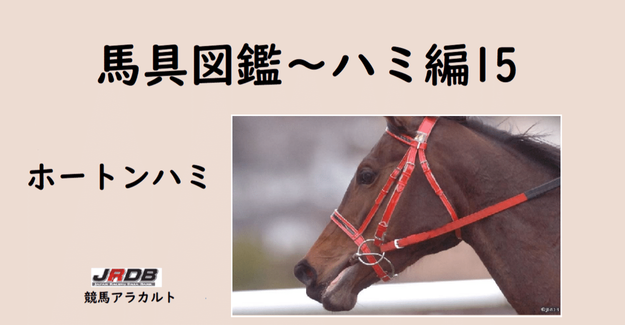トライアビット 競馬ハミ使用済み