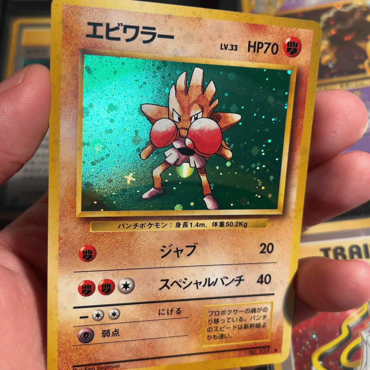 よくインターネットで見かける旧裏ポケカコレクションの用語のあれこれ