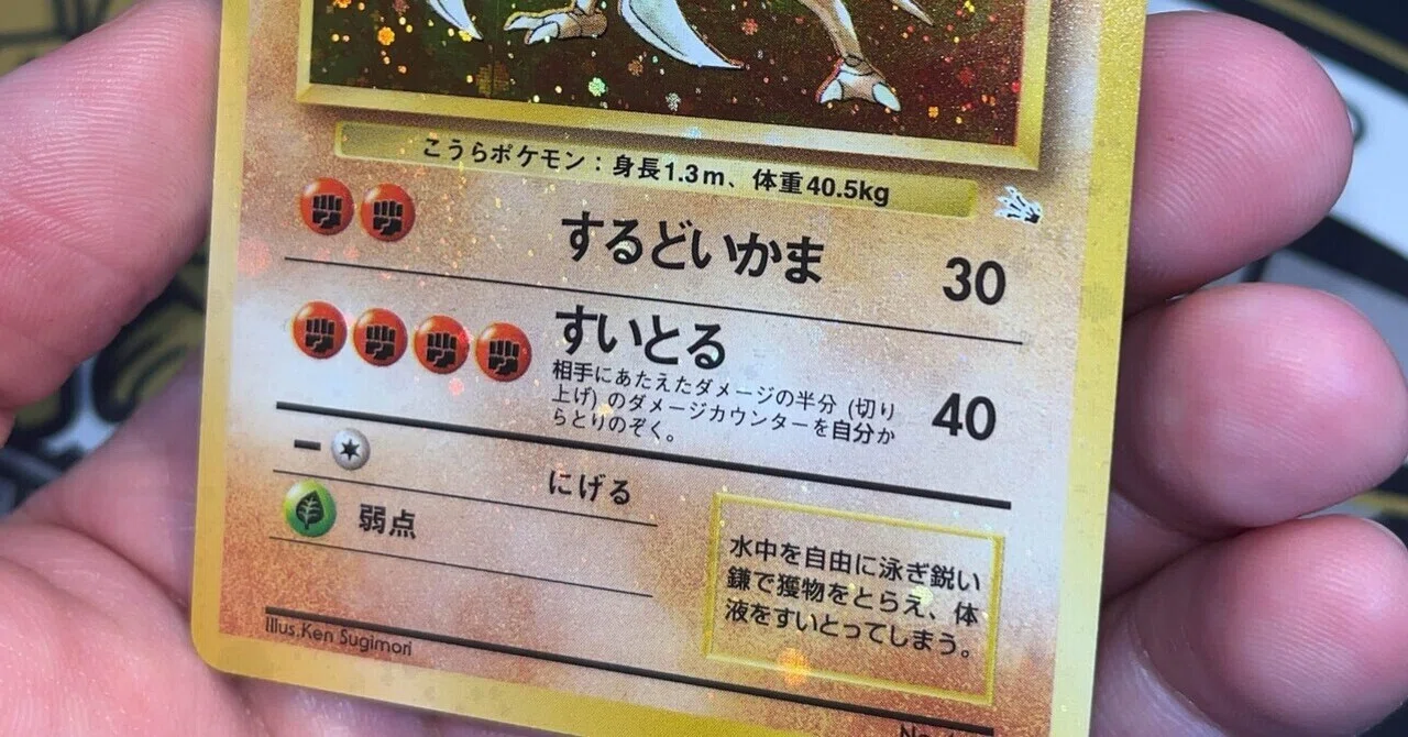 よくインターネットで見かける旧裏ポケカコレクションの用語のあれこれ 