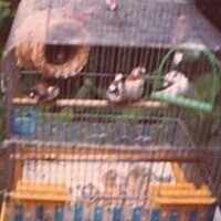 たカイまもるくん