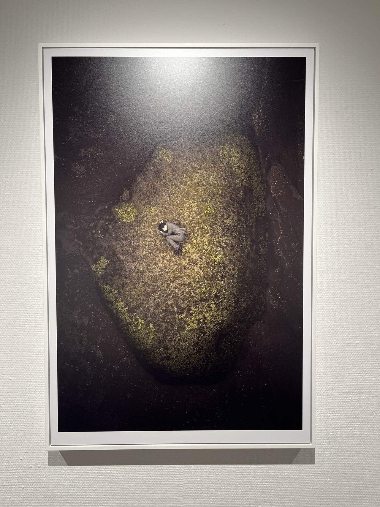 吉沢亮写真展『FOSS』があまりにも美しかった｜kingyo.