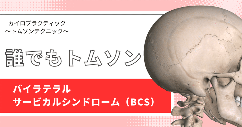 トムソンテクニック - 2024-11｜Doctor of Chiropractic /トムソン