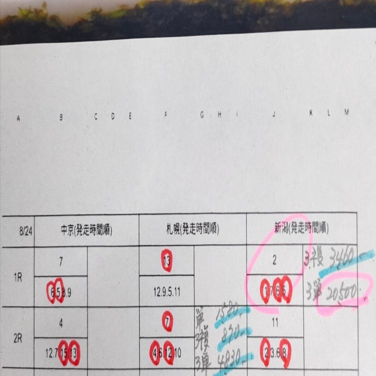 【中古】 馬券大学　実録！倫理なき万馬券術/順文社 中古】 馬券大学 実録！倫理なき万馬券術/順文社 中古】 馬券
