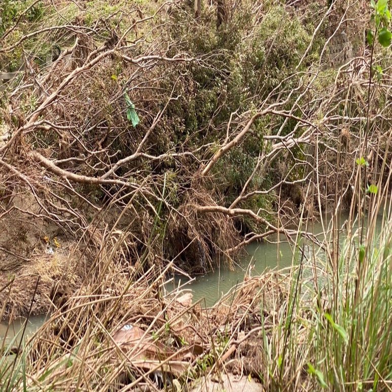 雨上がり カトレア カドレア Puig 21767H Z-RACING SCREEN [SMOKE] Kawasaki ZX-4R