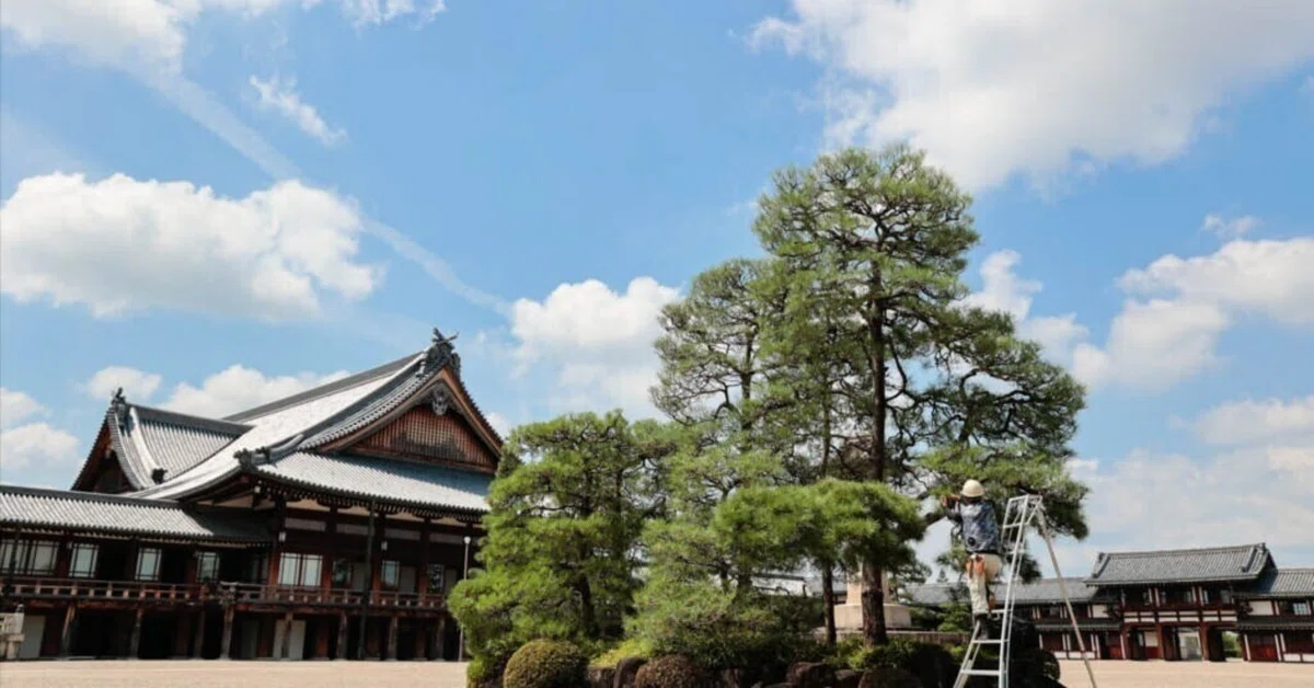 天理教において特に深い意味を持つ数字を、教義、歴史、儀式の観点から以下に挙げます。提供された情報や天理教の公式資料に基づき、12や26を含む