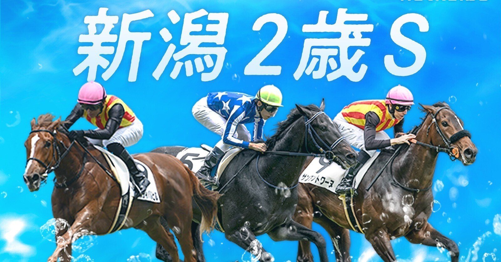 ロードクエスト 新潟2歳ステークス 勝利記念ジャージ ウマ娘 L 競馬