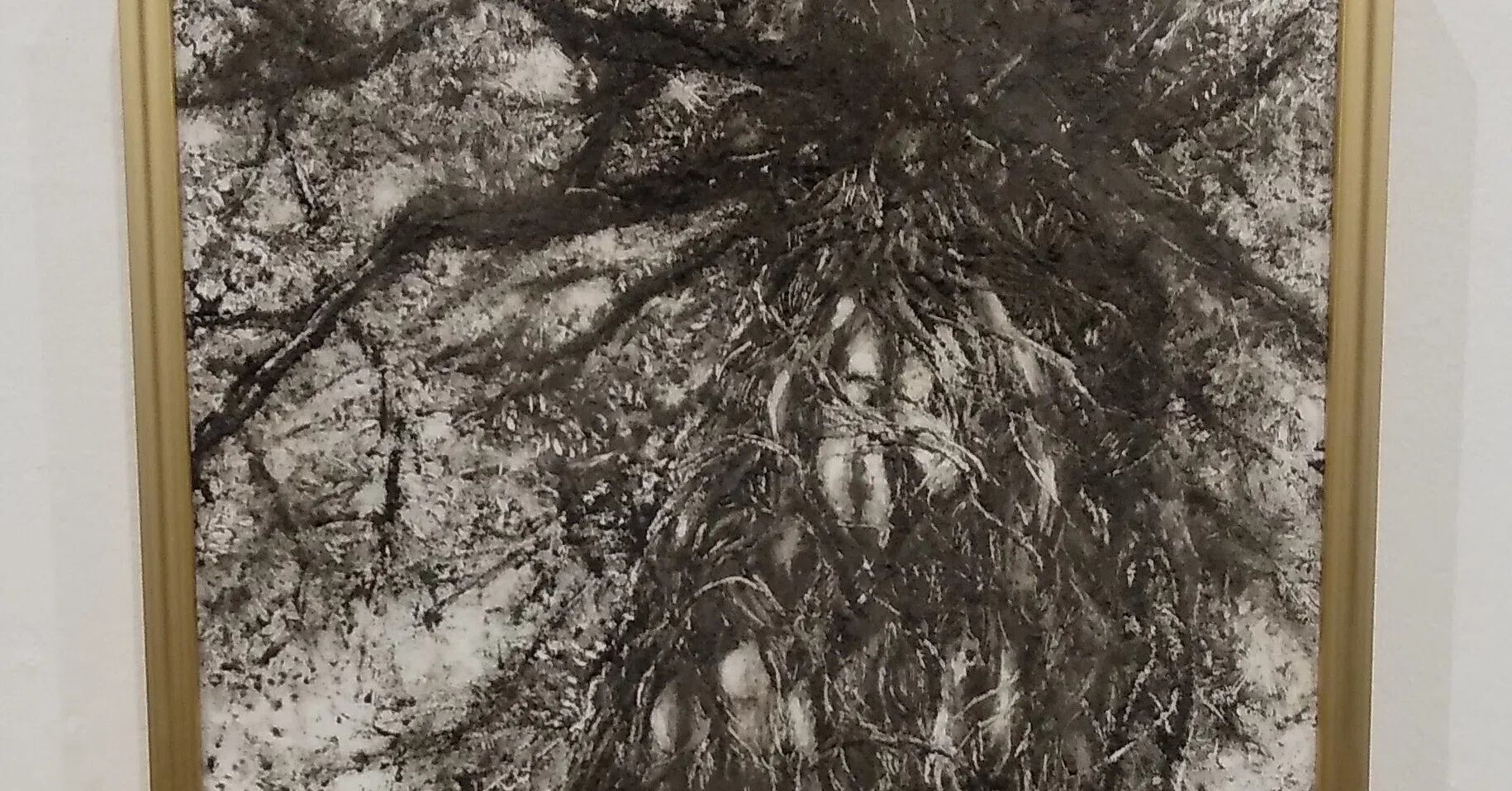 4-1 第38回 日本の自然を描く展・公募展 上野の森美術館 私の判断で