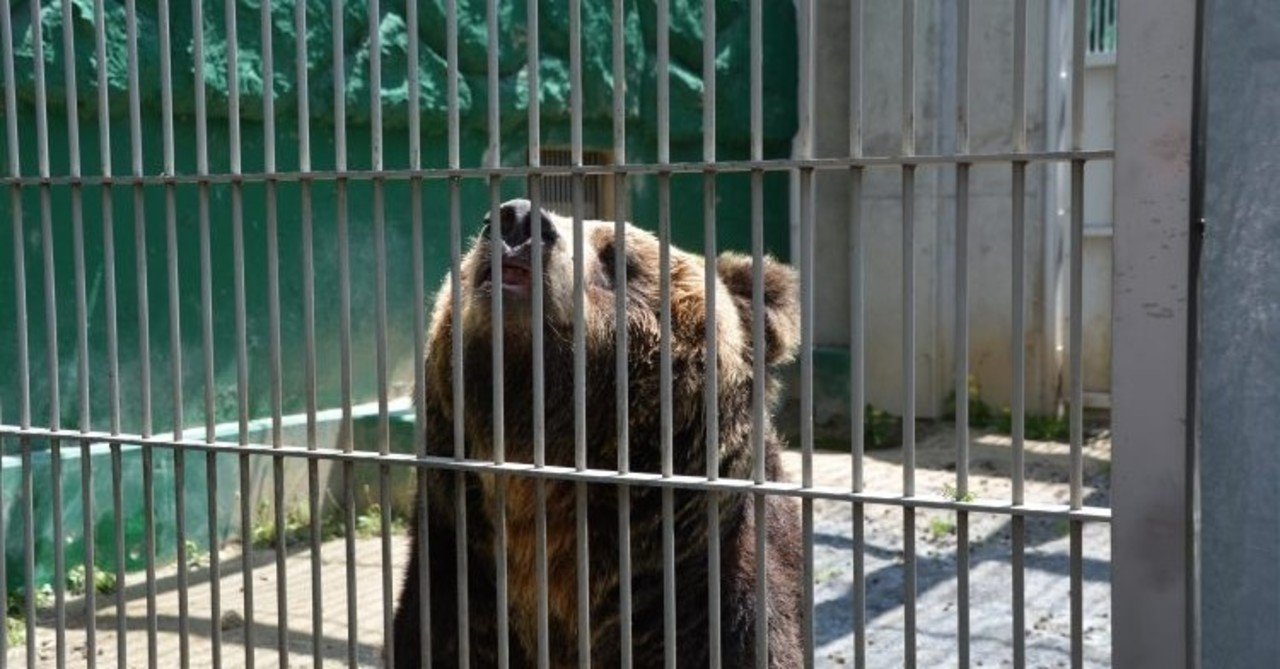 仕事のプレッシャーに打ち勝つ思考法 えとみほ 江藤美帆 Note