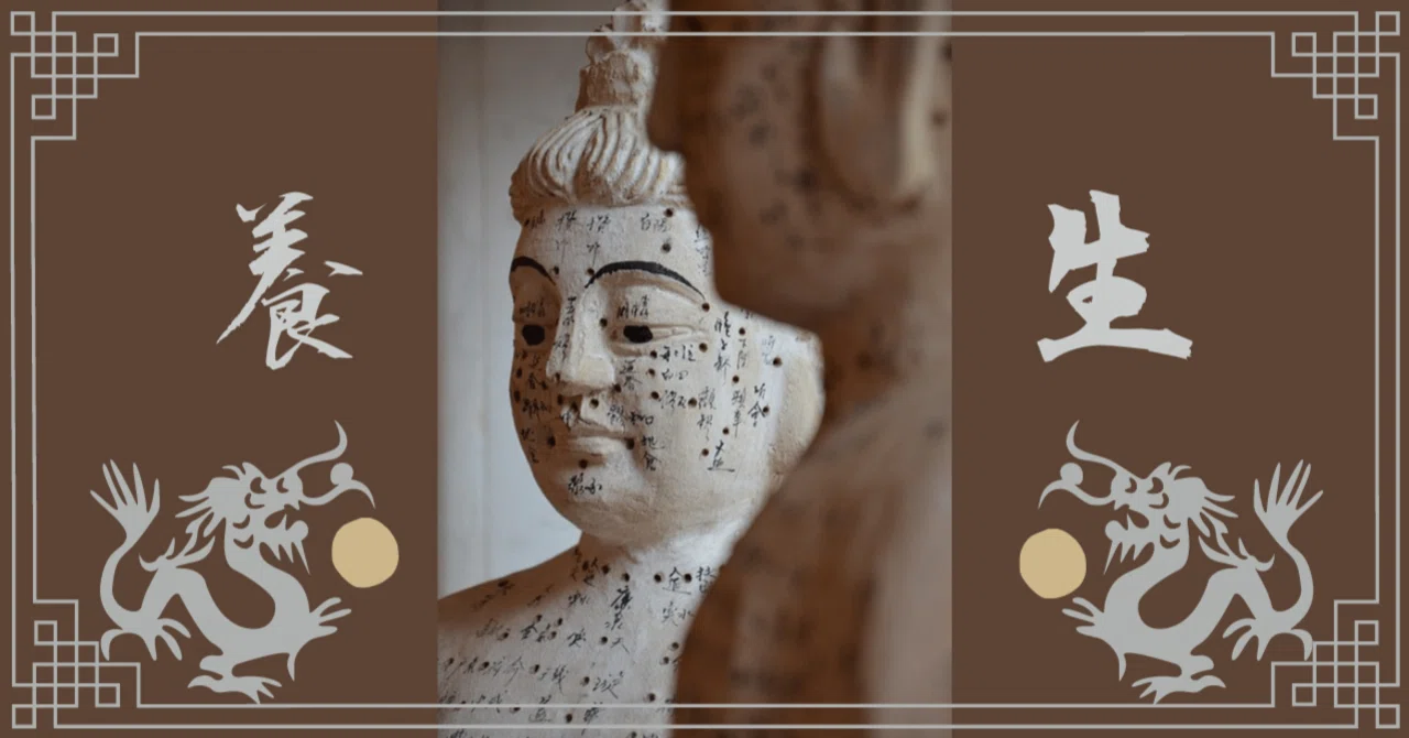 Basic Theory of Traditional Chinese Medicine: Questions for Chat｜おひさま