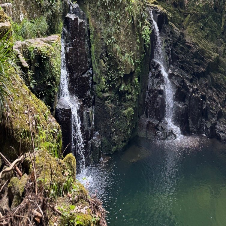 赤目四十八滝（悪書禁止だってばよ）｜しかのじょう