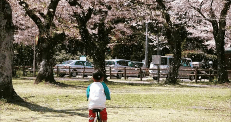卒園式 入学式に出る事が出来ない別居親 雷鳥風月 note