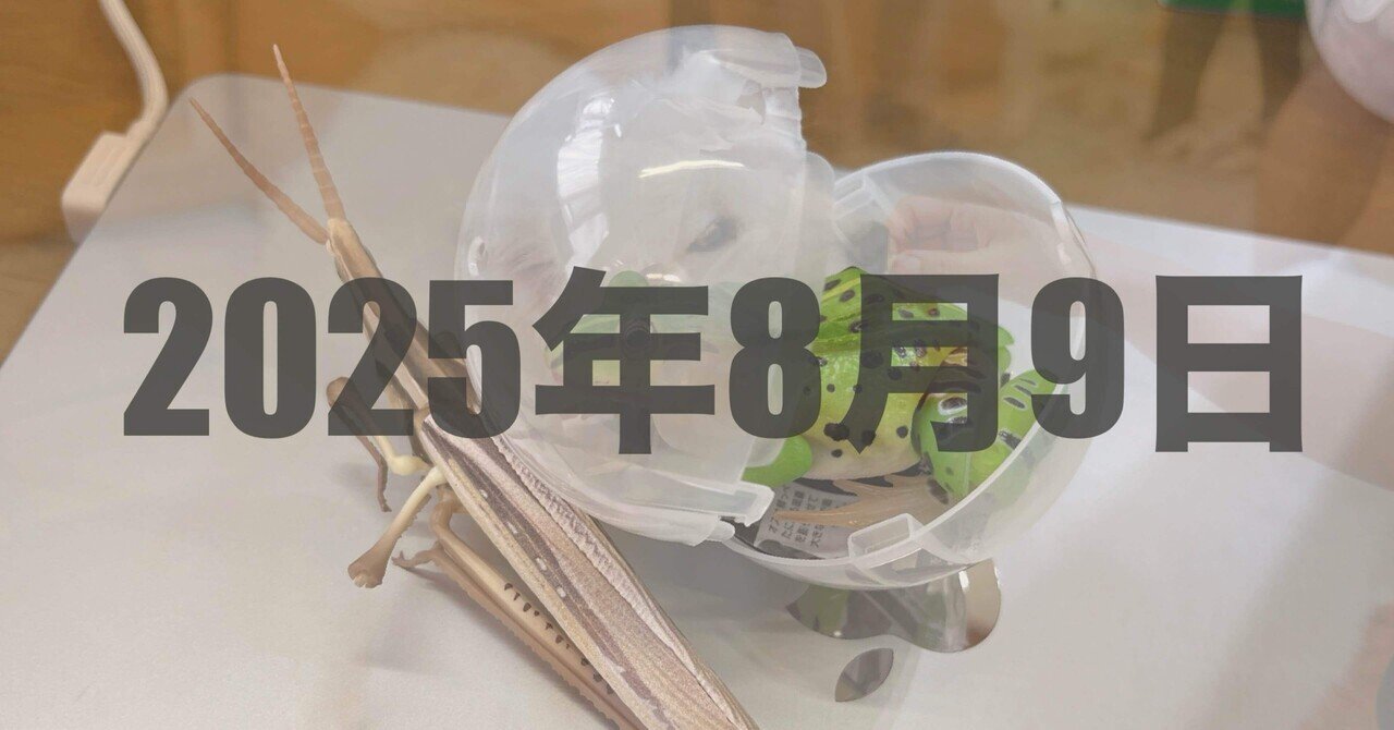 セボンスター75点 セボンスター75点 セボンスター | 玩具菓子 | カバヤ食品株式会社