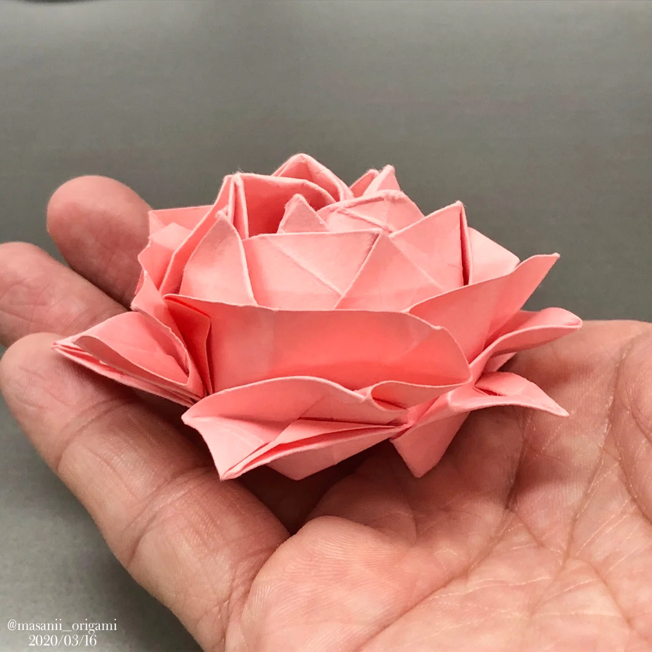 佐藤ローズ、待望の新作！ 〜「Origami」という品種のバラを折り紙で