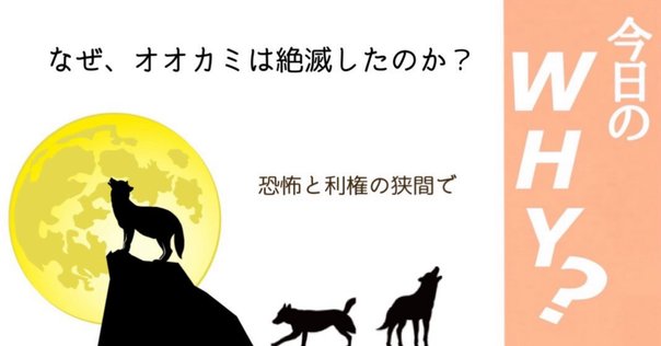 狼－その生態と歴史－ 平岩米吉著 616w2khRptL.jpg_BO30,255,255,