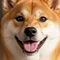 ワタナヴェ