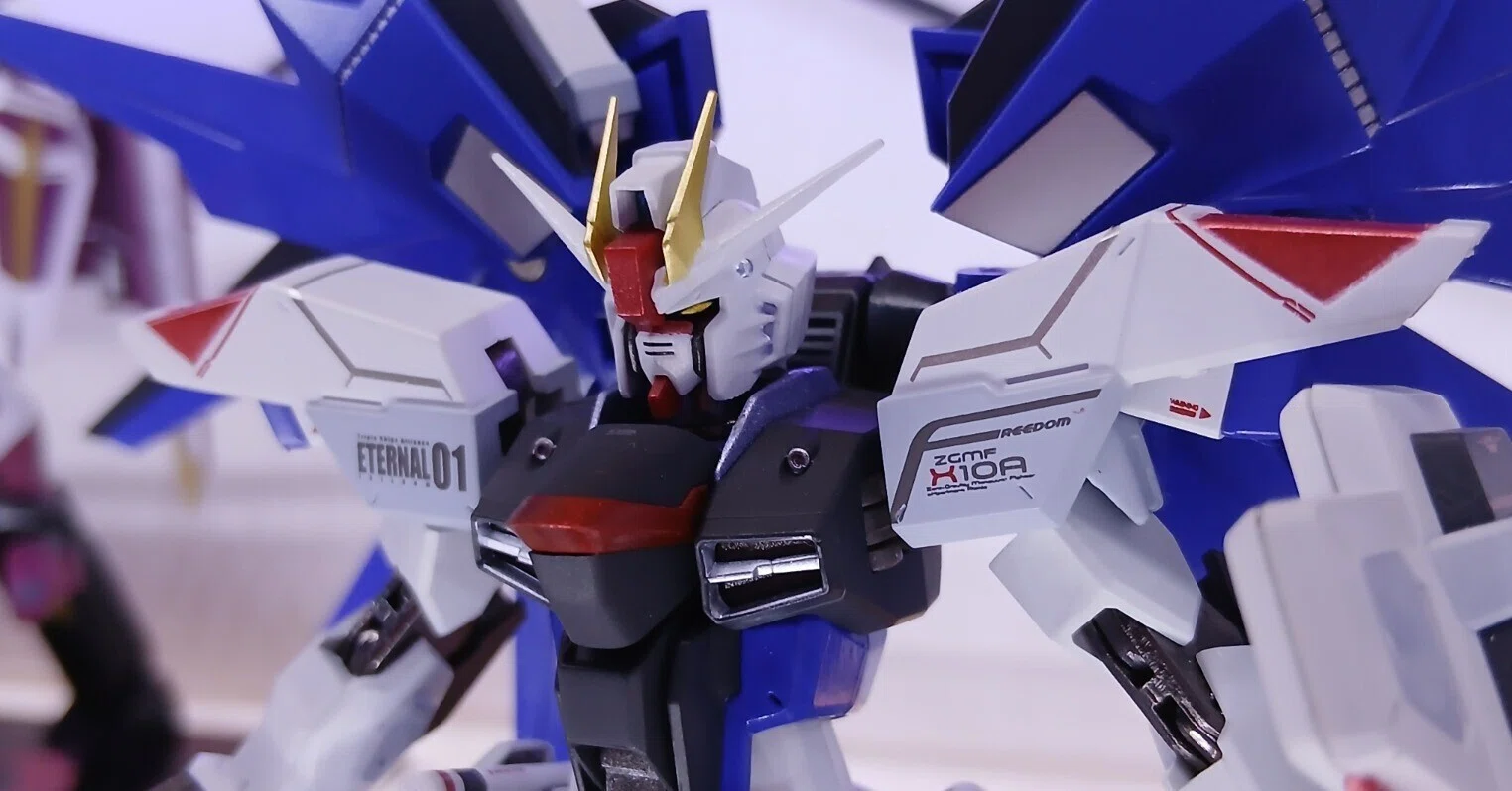 感想]METAL ROBOT魂 フリーダムガンダム｜サナ缶