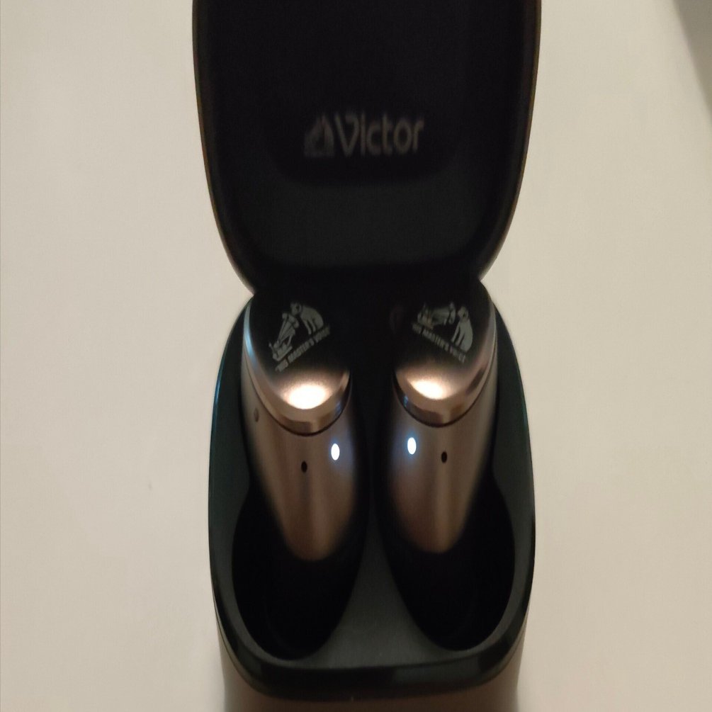 ノイキャンイヤホン】HA-FX550Tを使ってみた（JVC Victor）｜微粒子