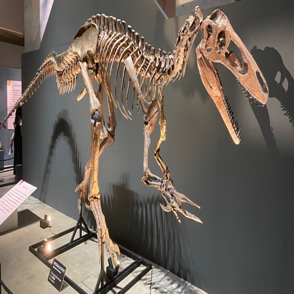2025 特別展・獣脚類（2）｜theropodさん