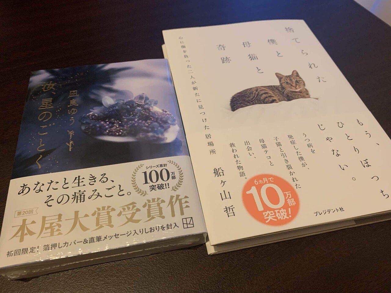 週末｜ねこじま