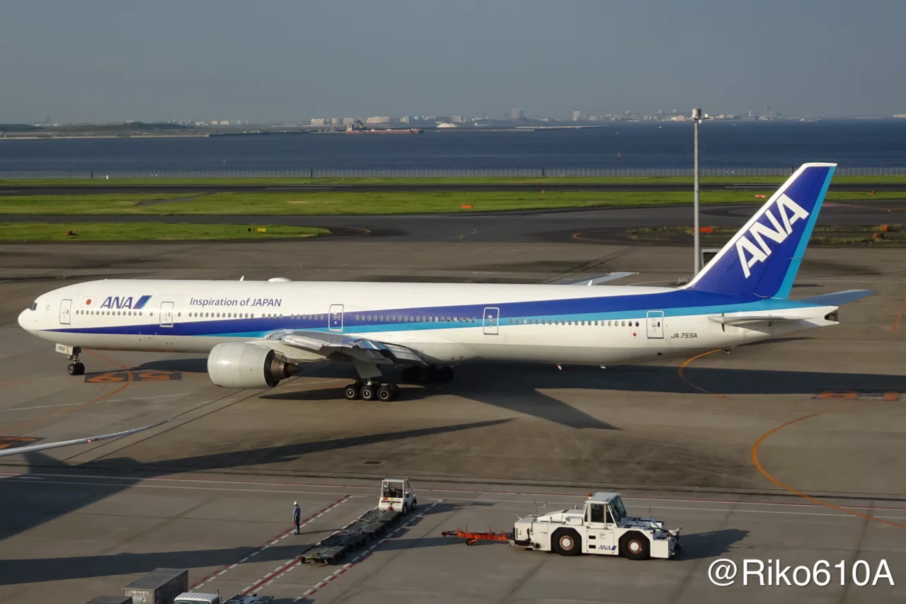 ANA 777-300 全機紹介 ①｜Hiro✈️🌸