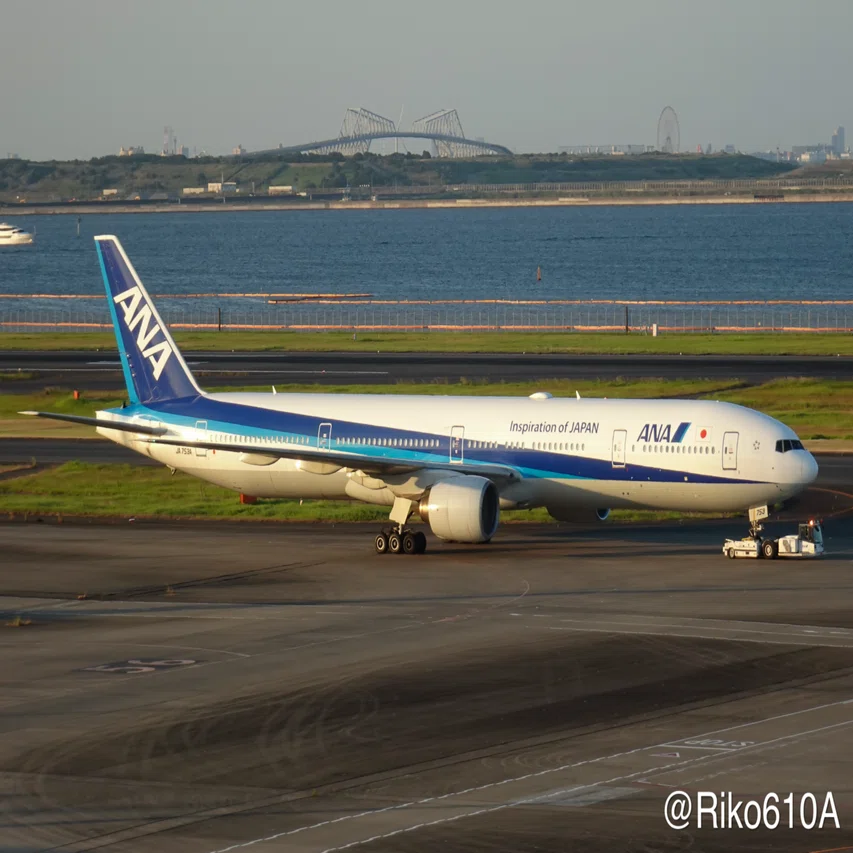 ANA 777-300 全機紹介 ①｜Hiro✈️🌸