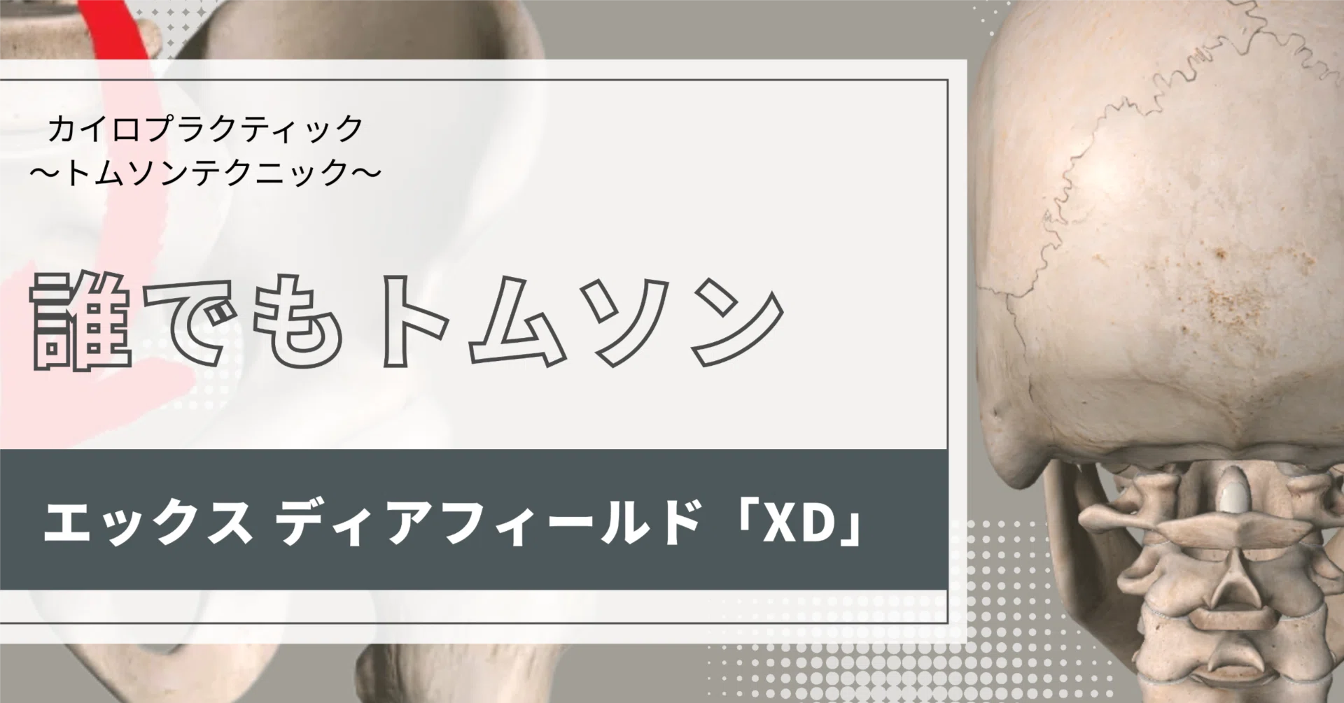 カイロプラクティック/トムソンテクニック 「エックス ディア
