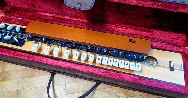 二胡　セット　本皮製　牡丹牌 二胡 セット 本皮製 牡丹牌 楽器・機材｜zseeb.omカンパニー公式