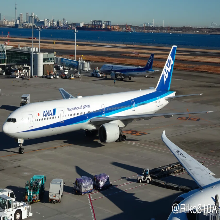 ANA 777-300 全機紹介 ①｜Hiro✈️🌸