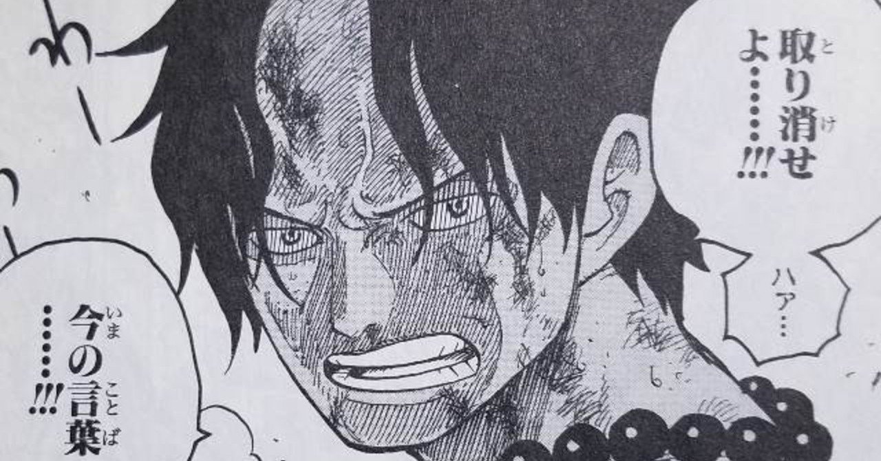 ポートガス D エースの死についての諸々の話 Sasu Note ポートガス D エースの死についての諸々の話 Sasu Note