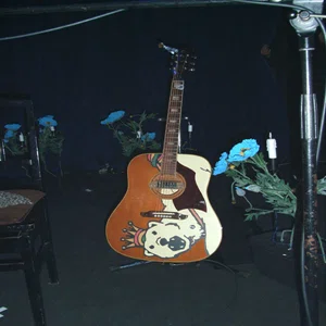 EKO Model395 violin electric guitar 1960's｜backyardguitars_b.j