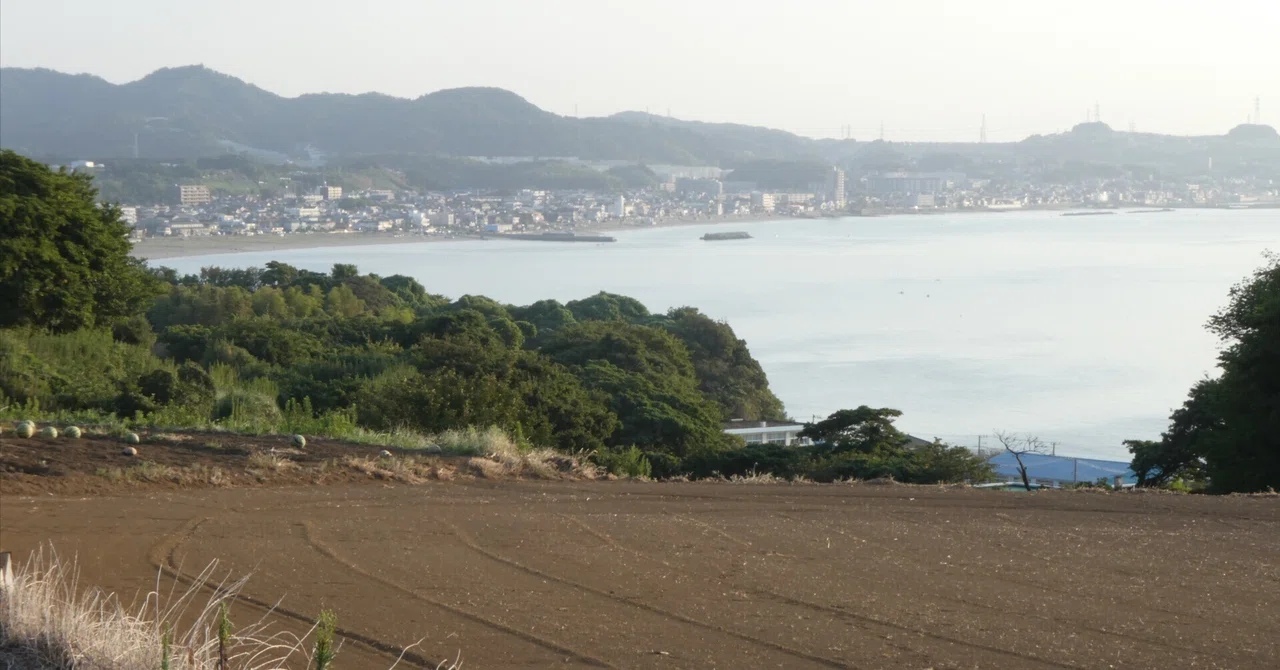 Nature Observation During a Morning Walk on the Miura Peninsula (Late ...