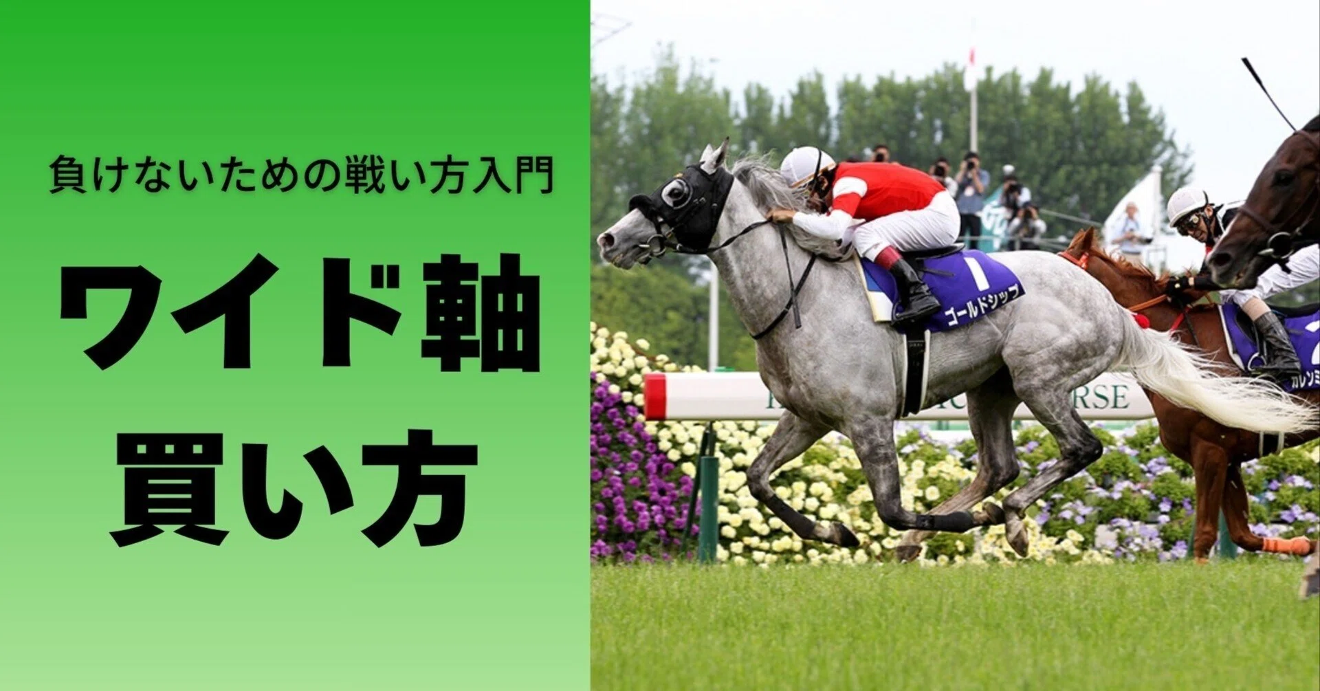 競馬 ワイド と は
