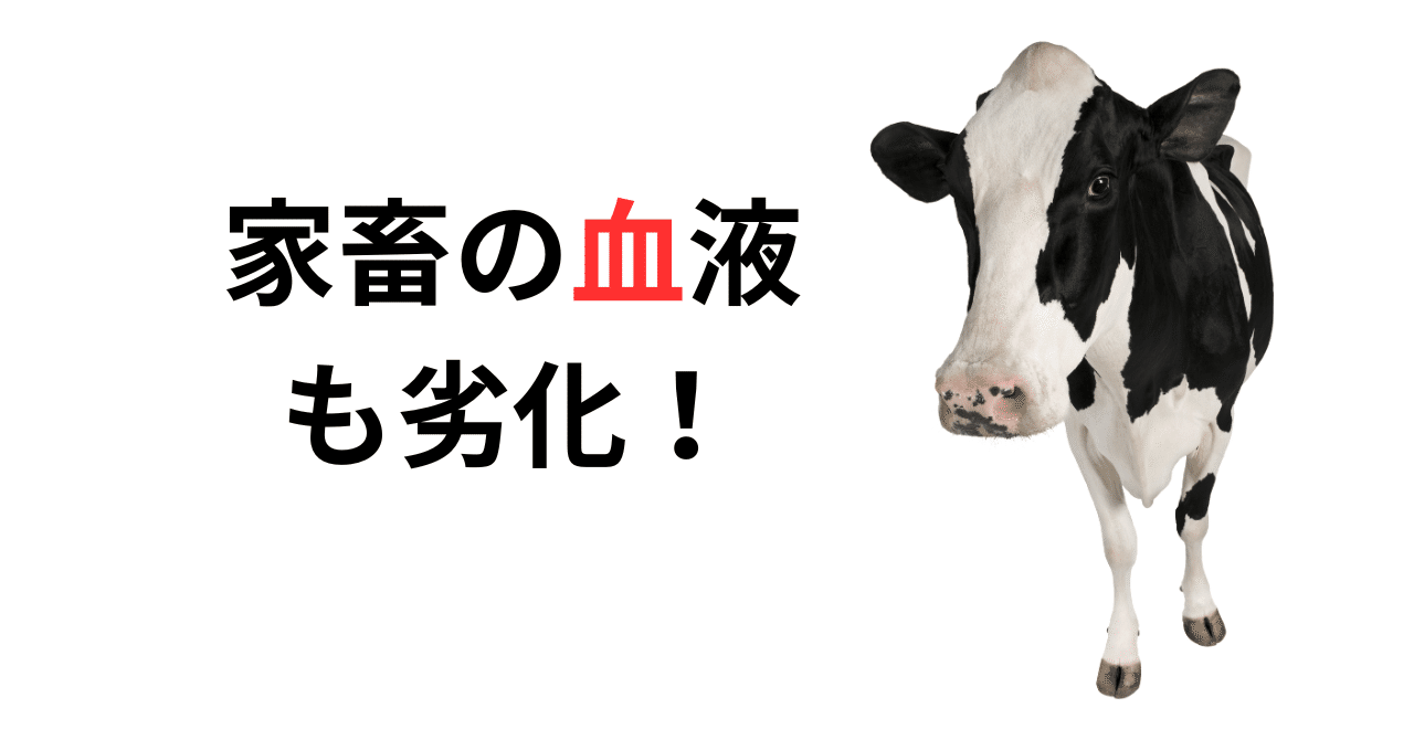 牛乳が危険なのは、家畜の「血液」も劣化しているから。｜高橋