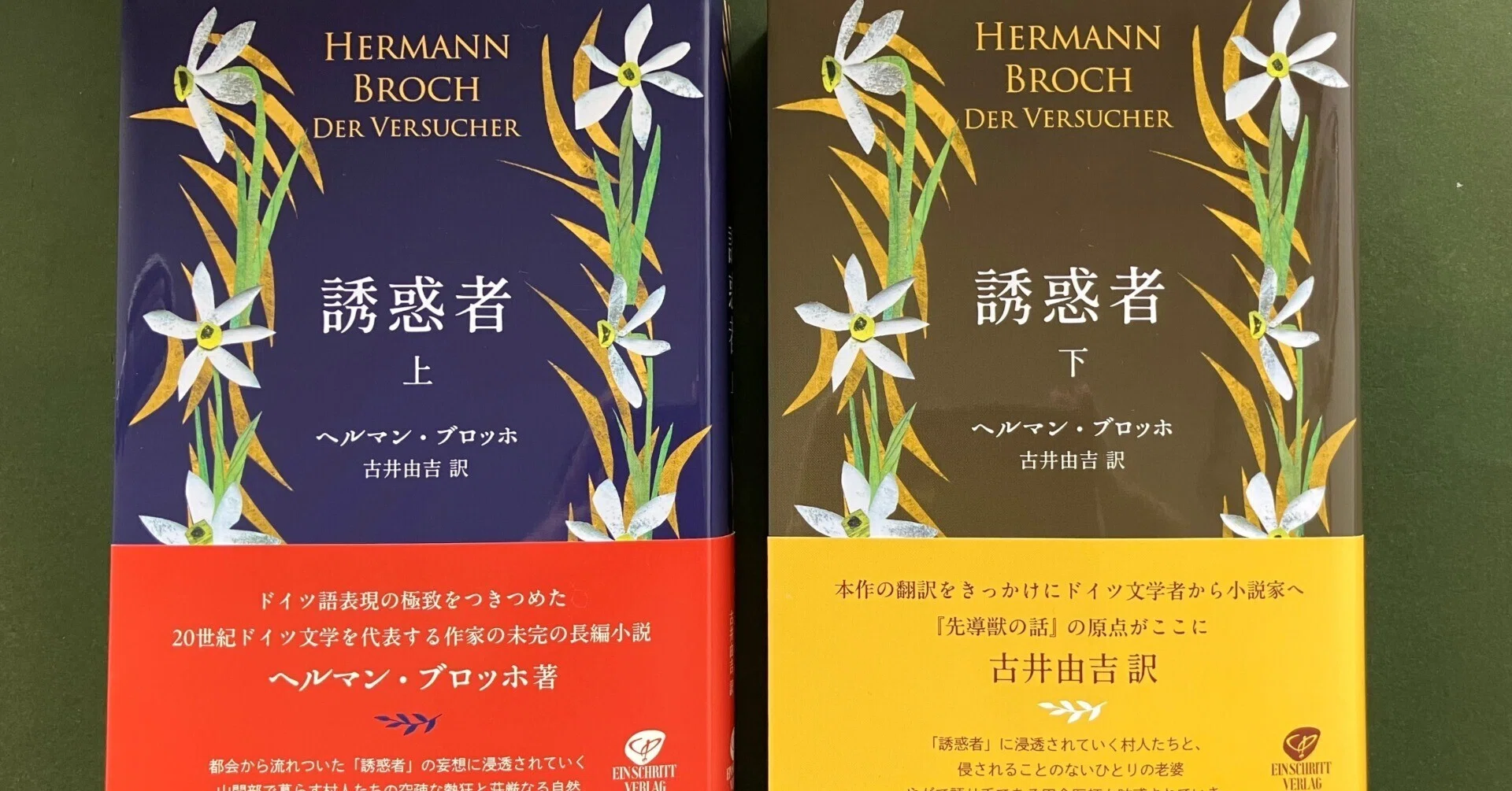洋書 小ぶりな可愛らしい本 ヘルマン アルプスの家 民間伝承 ヘルマン・ヘルツベルハー【Herman Hertzberger Shaping Freedom