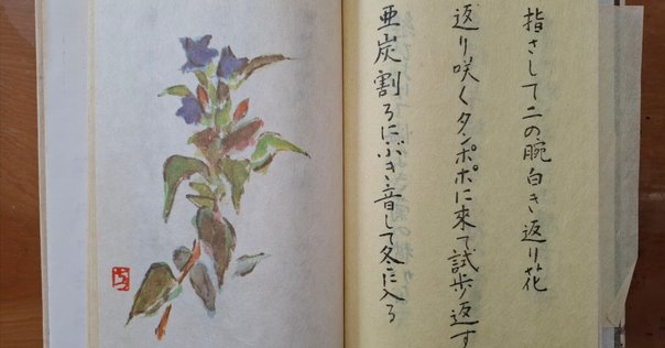 遠山陽子俳句集成/素粒社/遠山陽子（単行本（ソフトカバー）） 遠山陽子俳句集成 | 素粒社