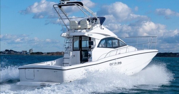 夏の朝のタナゴ釣り｜森の人たかぽん