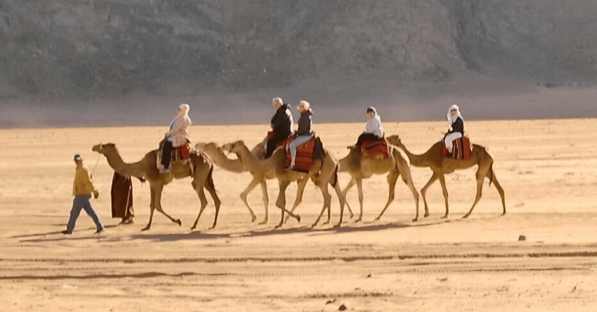 2025 大阪・関西万博 ヨルダンの砂 サンドアート(大) 砂漠 砂 ラクダ