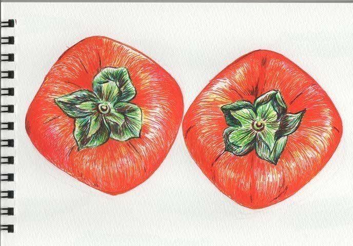 ボールペンイラスト as Note