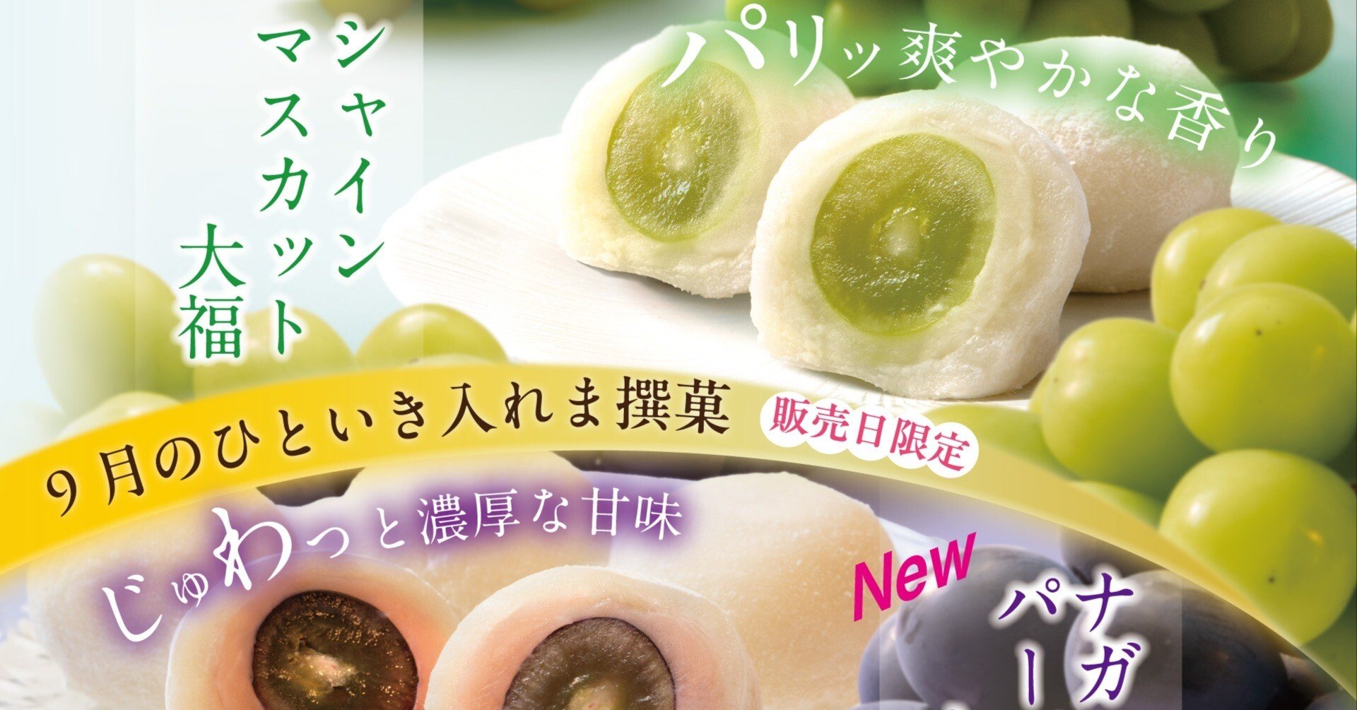 eedb8743adbff05958a58cc840d2c7