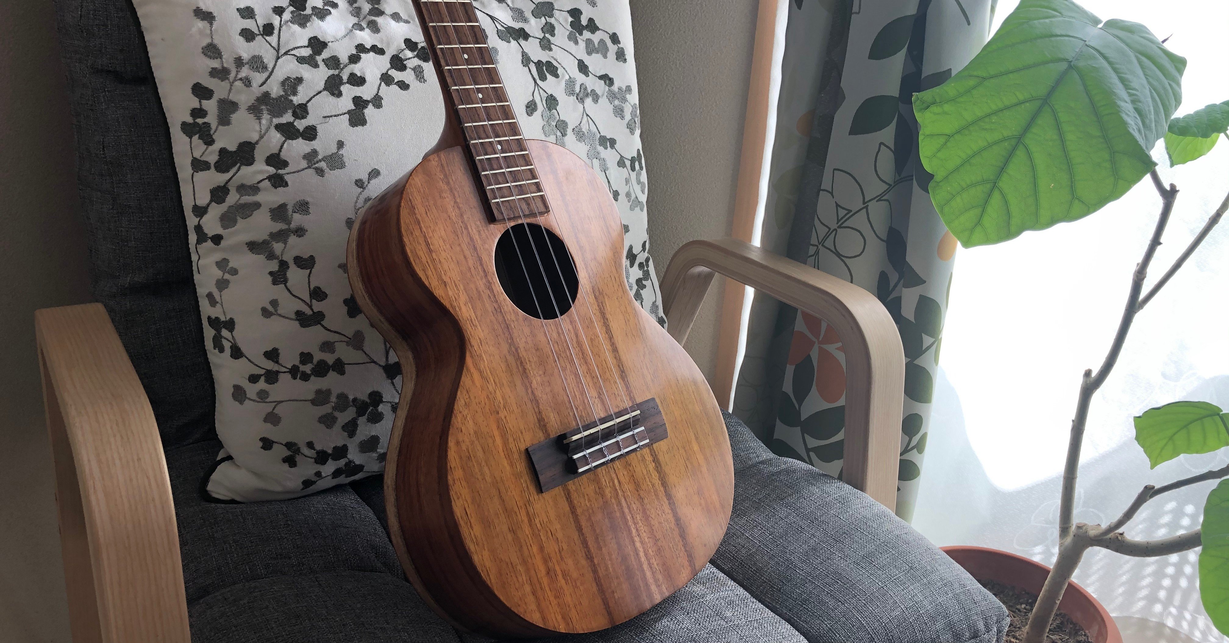 Original Song 愛のバッテリー M U Ukulele Singer Songwriter Note