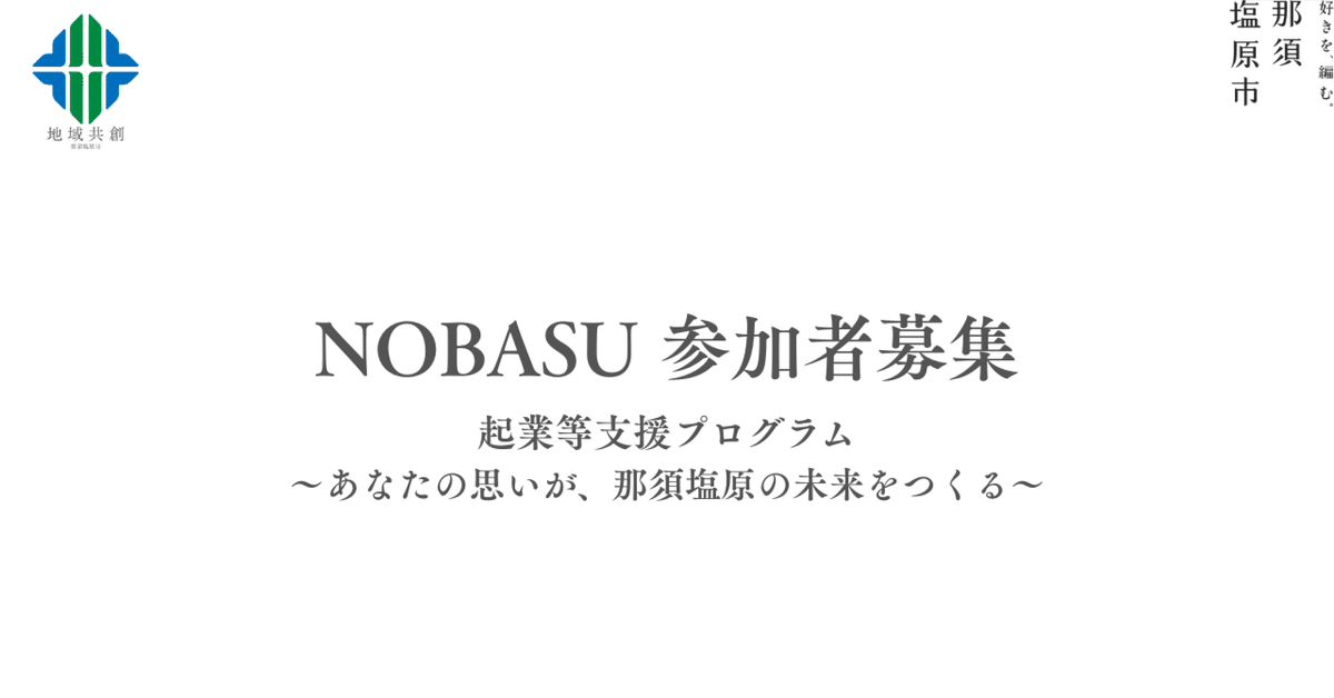 [hasu3310] 国内未発売N planner2021 とneosma 43296-193-