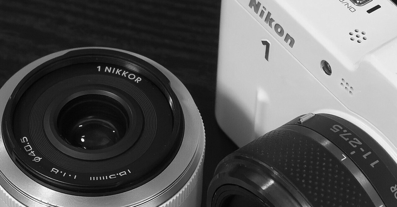 Nikon1v1用に2本目のレンズ購入│1NIKKOR｜夏と放し飼い